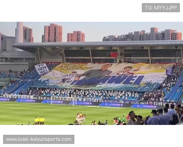 桑德兰球迷远征酋长球场，看台巨型TIFO致敬俱乐部历史